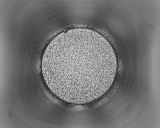 X0000112860441200910021315