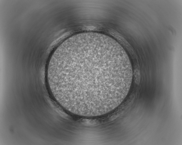 X0000112860442200910021315