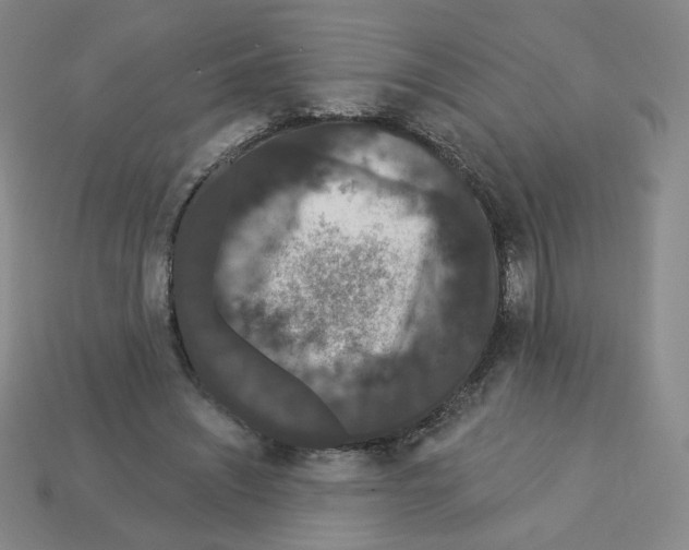 X0000112860444200910021315