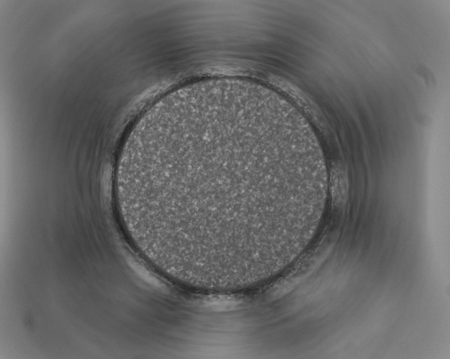 X0000112860445200910021315