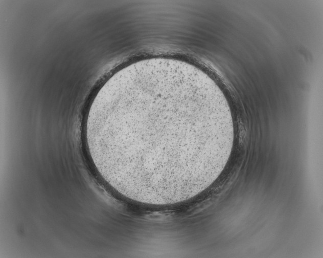 X0000112860447200910021315