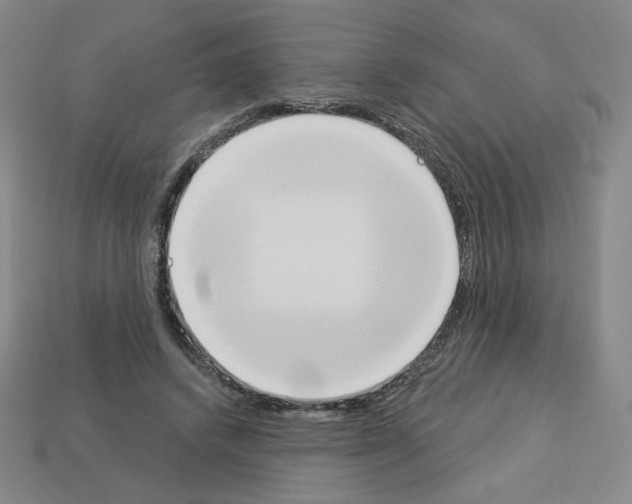 X0000112860448200910021315