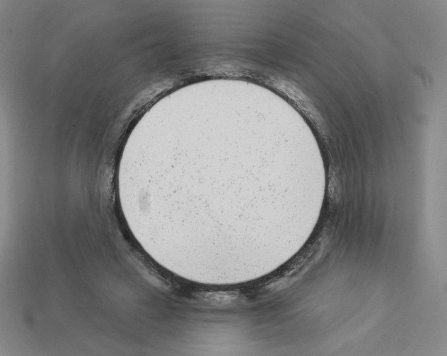 X0000112860449200910021315