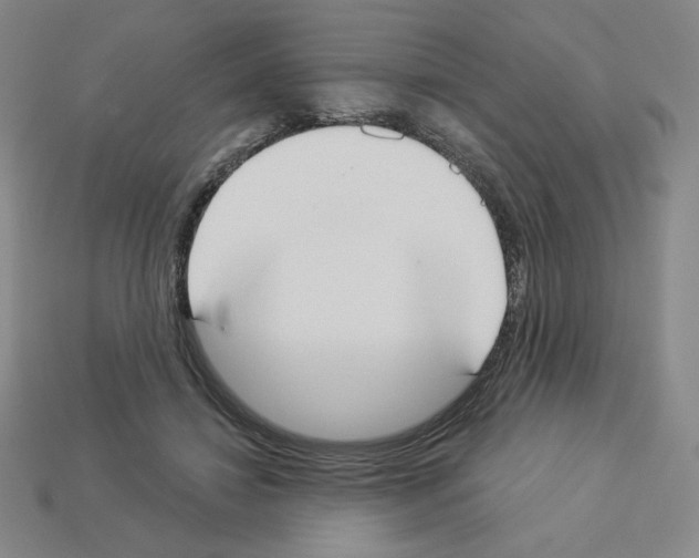 X0000112860452200910021315