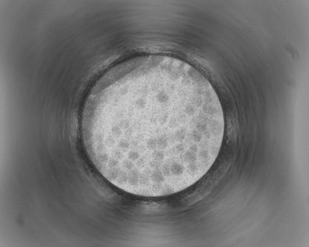 X0000112860453200910021315