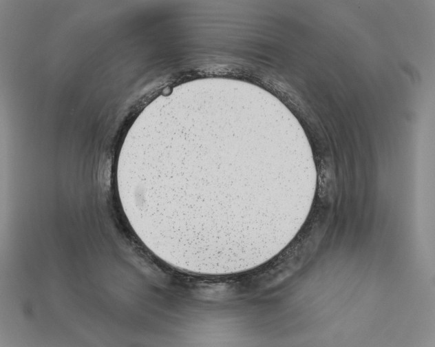 X0000112860454200910021315