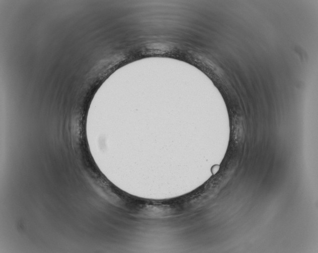 X0000112860455200910021315