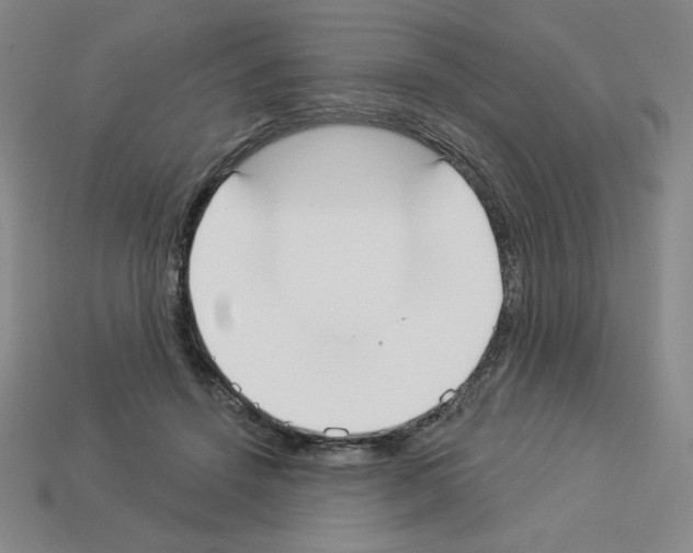 X0000112860456200910021315