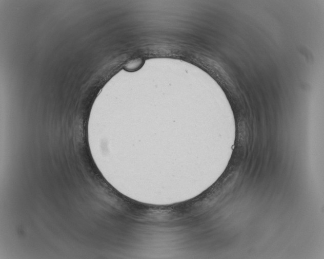 X0000112860457200910021315