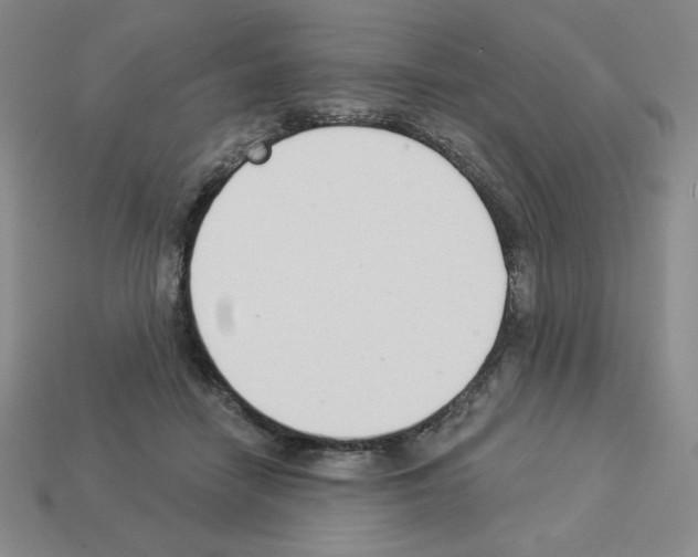 X0000112860458200910021315
