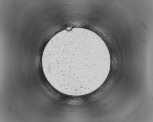 X0000112860459200910021315