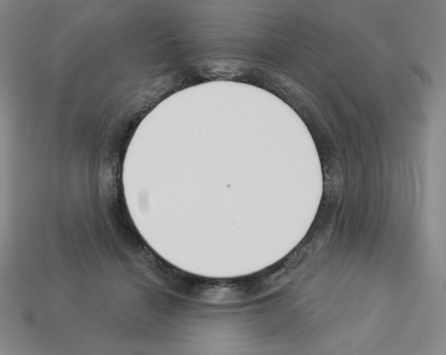 X0000112860460200910021315