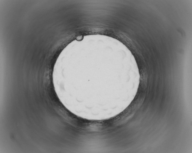 X0000112860462200910021315