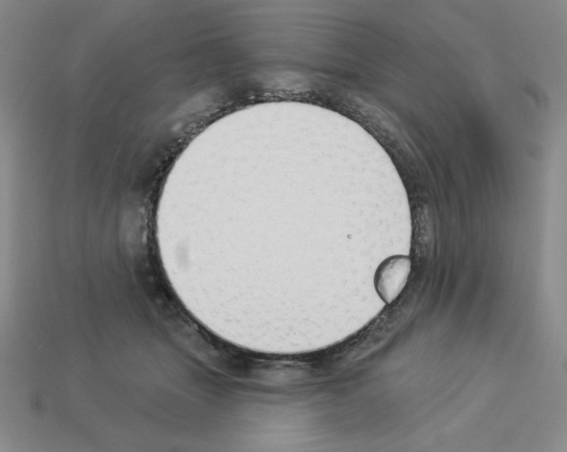 X0000112860463200910021315