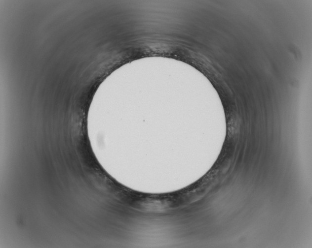 X0000112860464200910021315