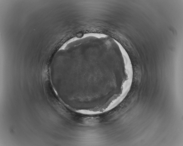 X0000112860465200910021315