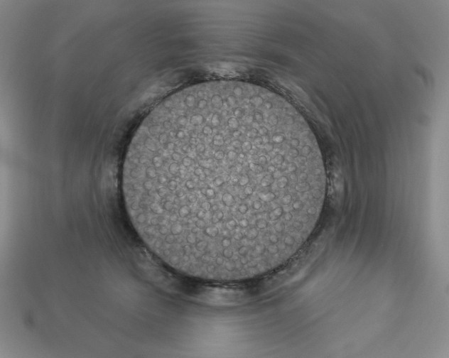 X0000112860466200910021315