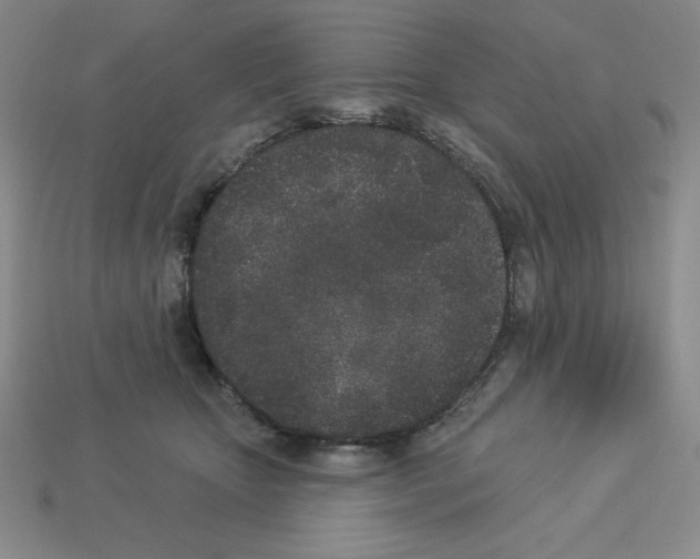 X0000112860467200910021315