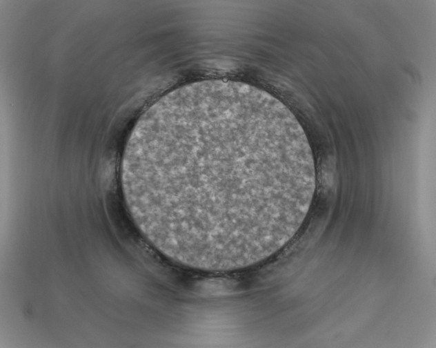 X0000112860468200910021315