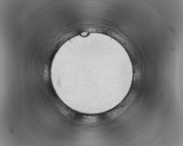 X0000112860469200910021315