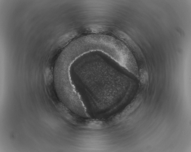 X0000112860471200910021315