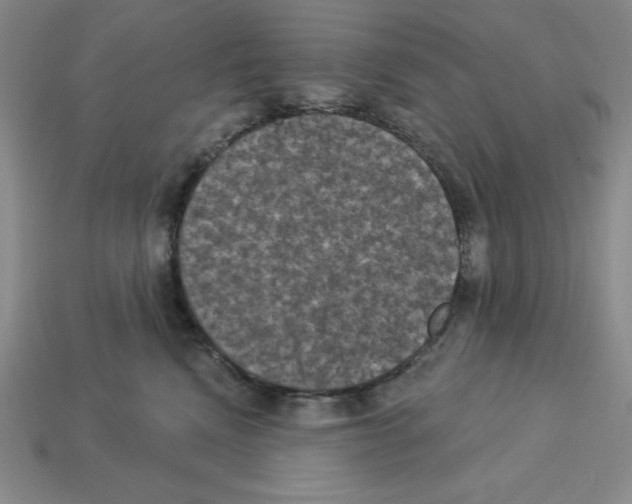 X0000112860472200910021315