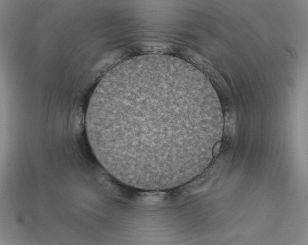 X0000112860474200910021315