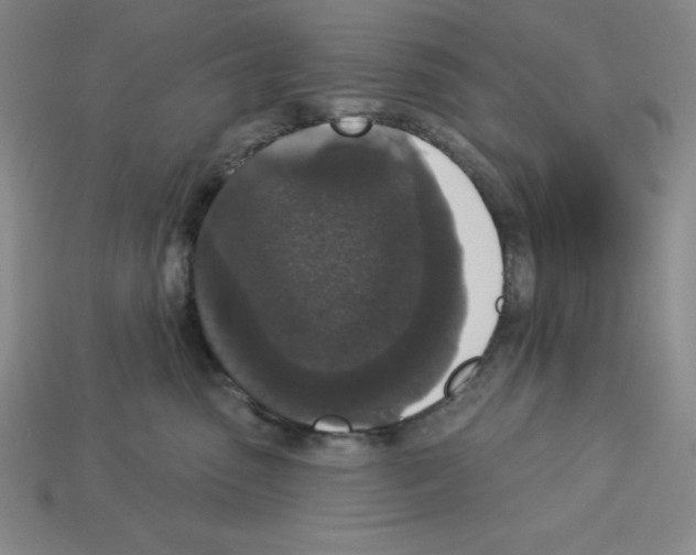 X0000112860475200910021315