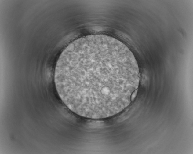 X0000112860476200910021315