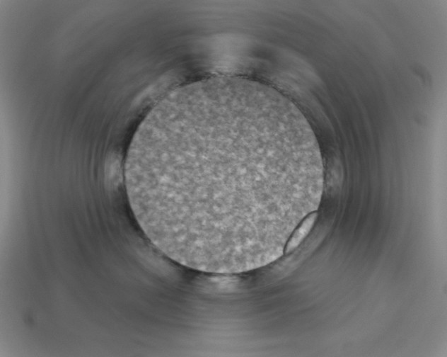 X0000112860478200910021315