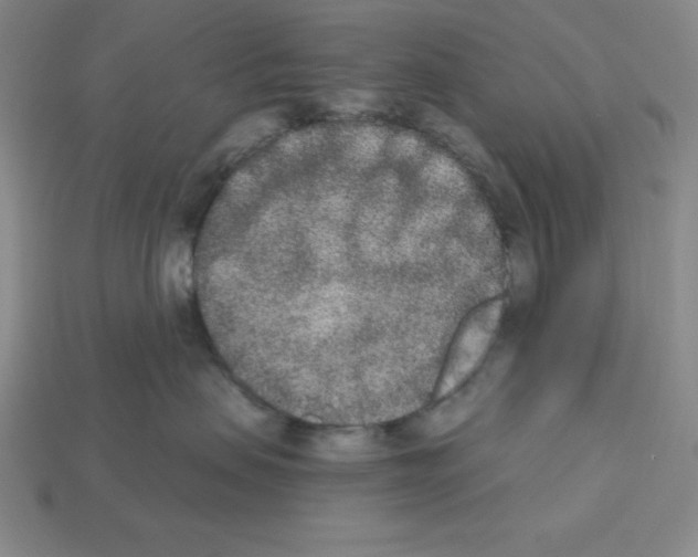 X0000112860479200910021315