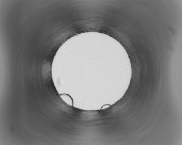 X0000112860480200910021315
