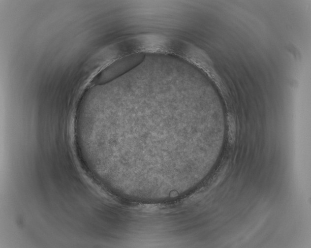 X0000112860482200910021315