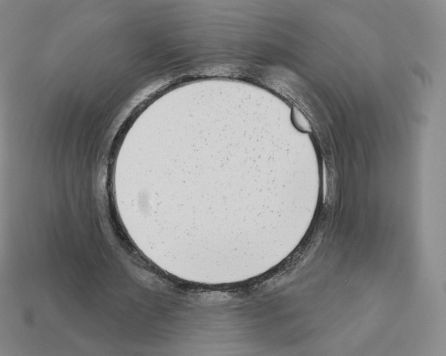 X0000112860483200910021315