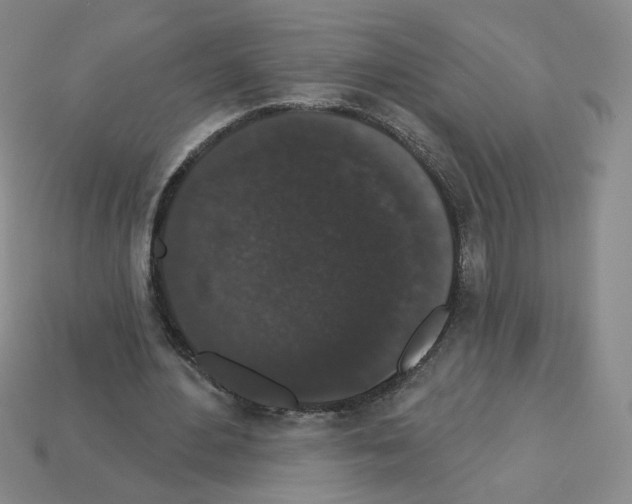 X0000112860484200910021315