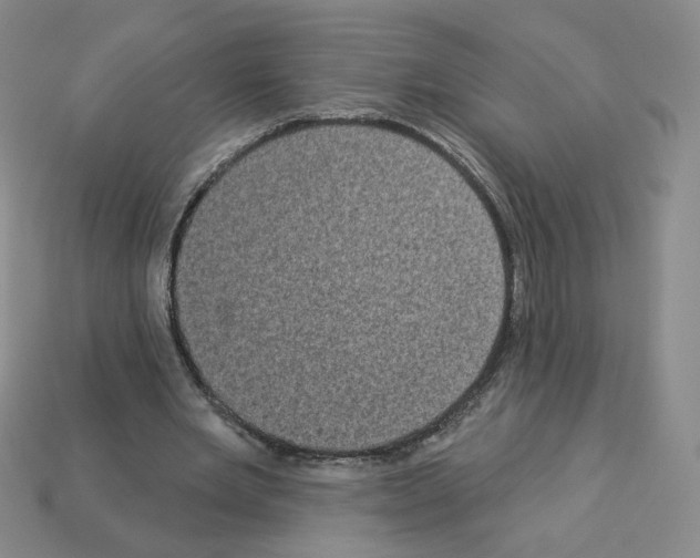 X0000112860485200910021315