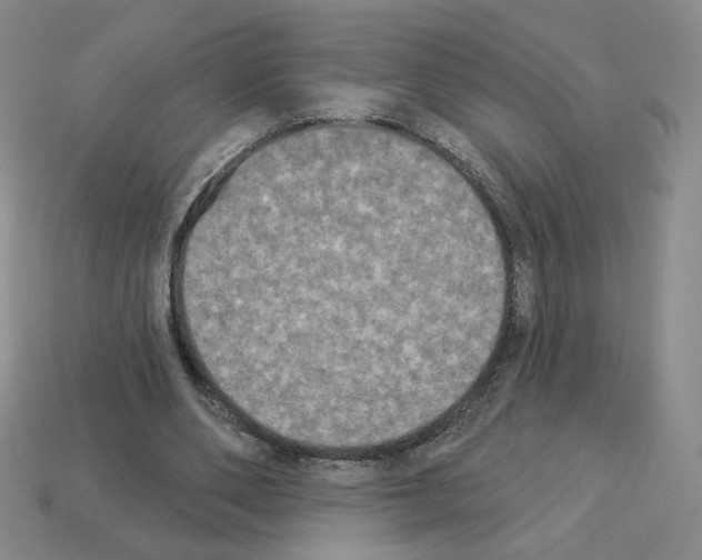 X0000112860486200910021315