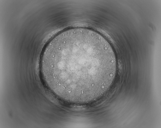 X0000112860487200910021315