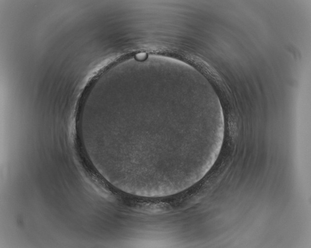 X0000112860488200910021315