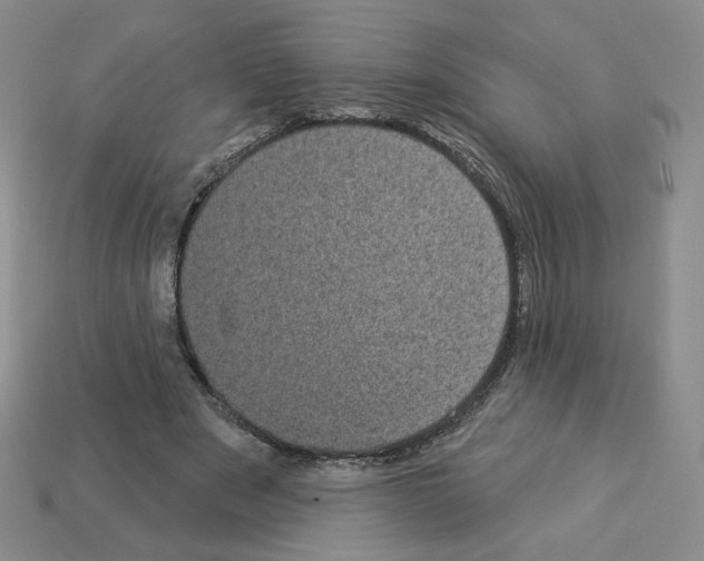 X0000112860489200910021315