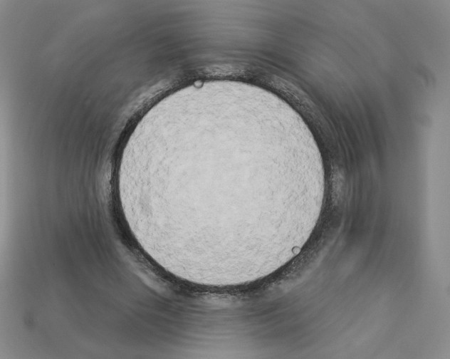 X0000112860490200910021315