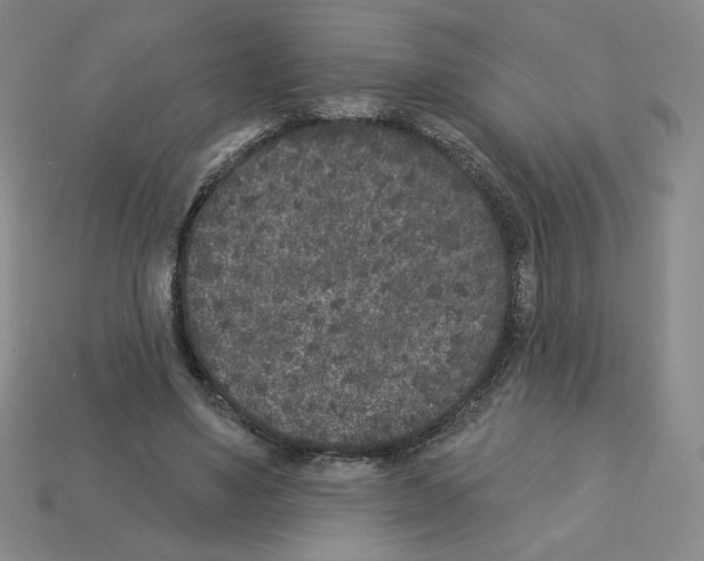 X0000112860491200910021315