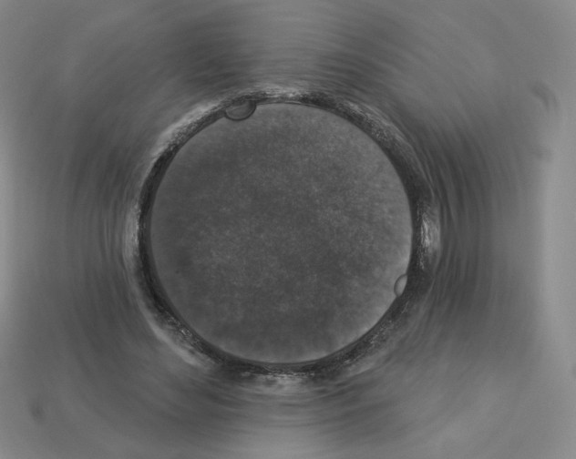 X0000112860492200910021315