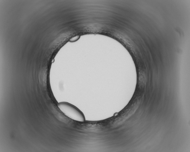 X0000112860493200910021315