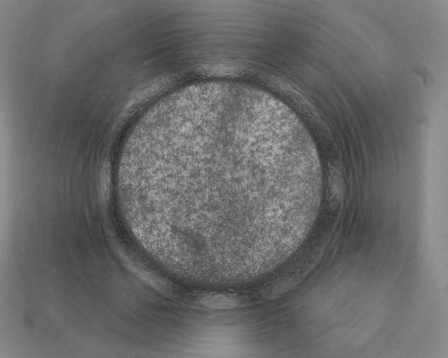 X0000112860494200910021315