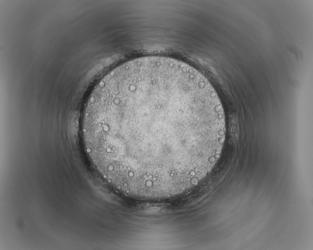X0000112860495200910021315