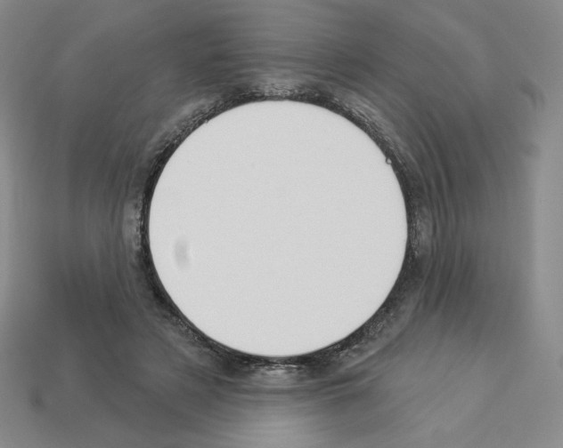 X0000112860497200910021315