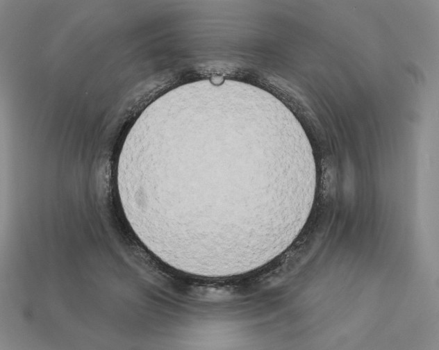 X0000112860498200910021315