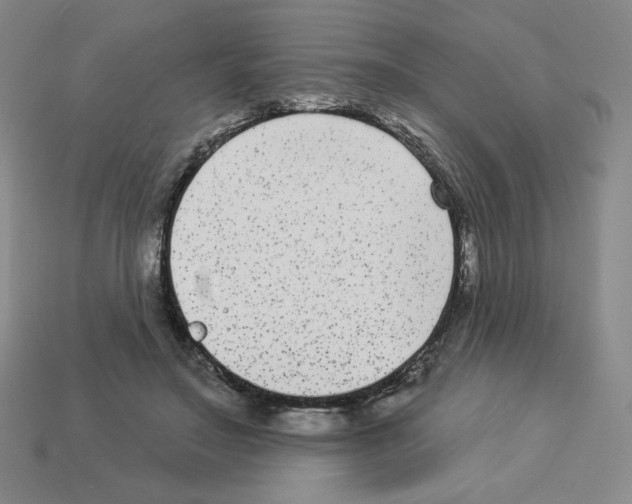 X0000112860499200910021315