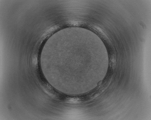 X0000112860500200910021315